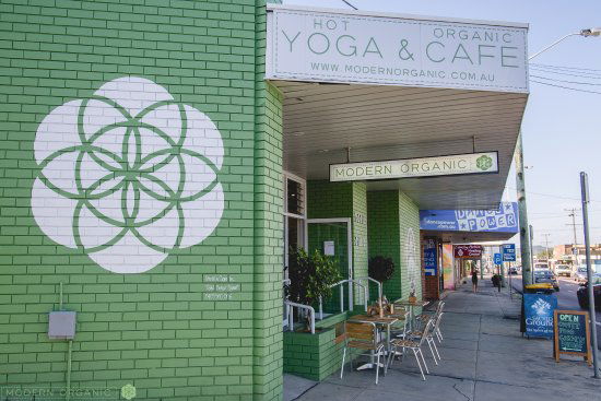 Modern Organic