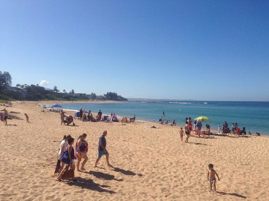 Toowoon Bay SLSC Cafe