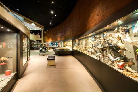 Museum Of Central Australia & Strehlow Research Centre - Dentist Search 1