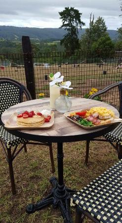 Kurrajong Bark Park And Cafe BCM - Dentist Find 0