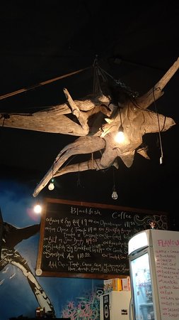 Blackfish Cafe - Dentist Find 0