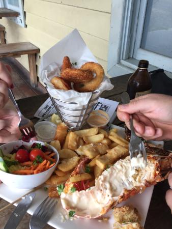 Catherine Hill Bay NSW Dentist Find