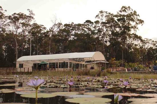 Sancrox NSW Dentist Search