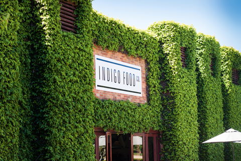 Indigo Food Co. - Dentist Search 0