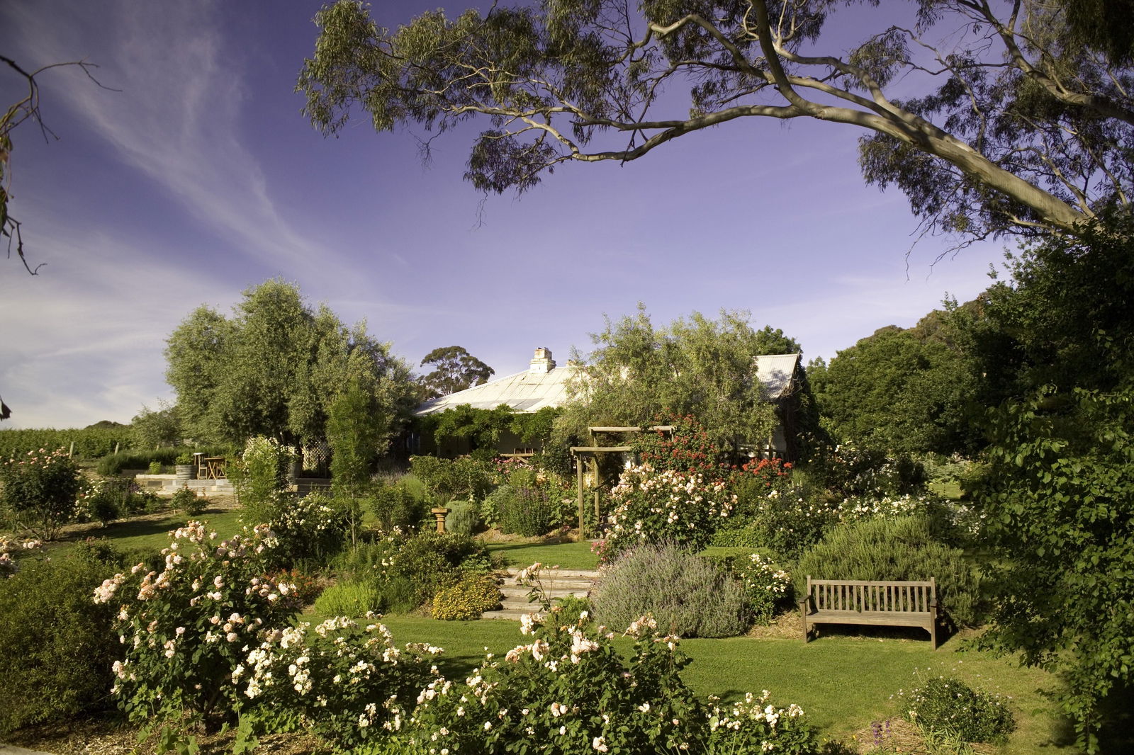 Skillogalee Winery  Restaurant