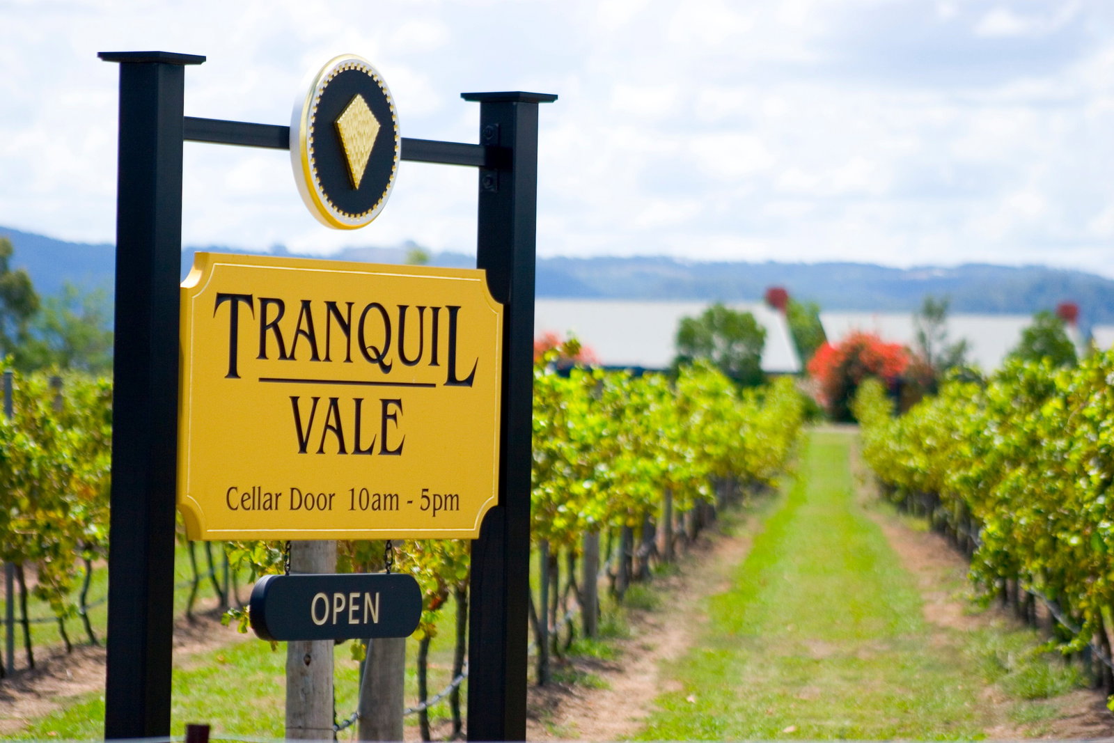 Tranquil Vale Vineyard