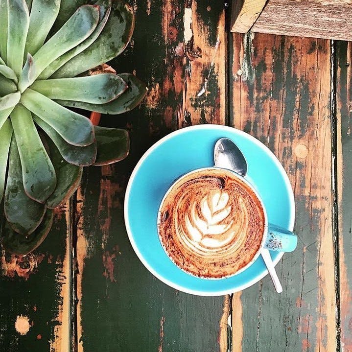 Eveleigh NSW Dentist Find