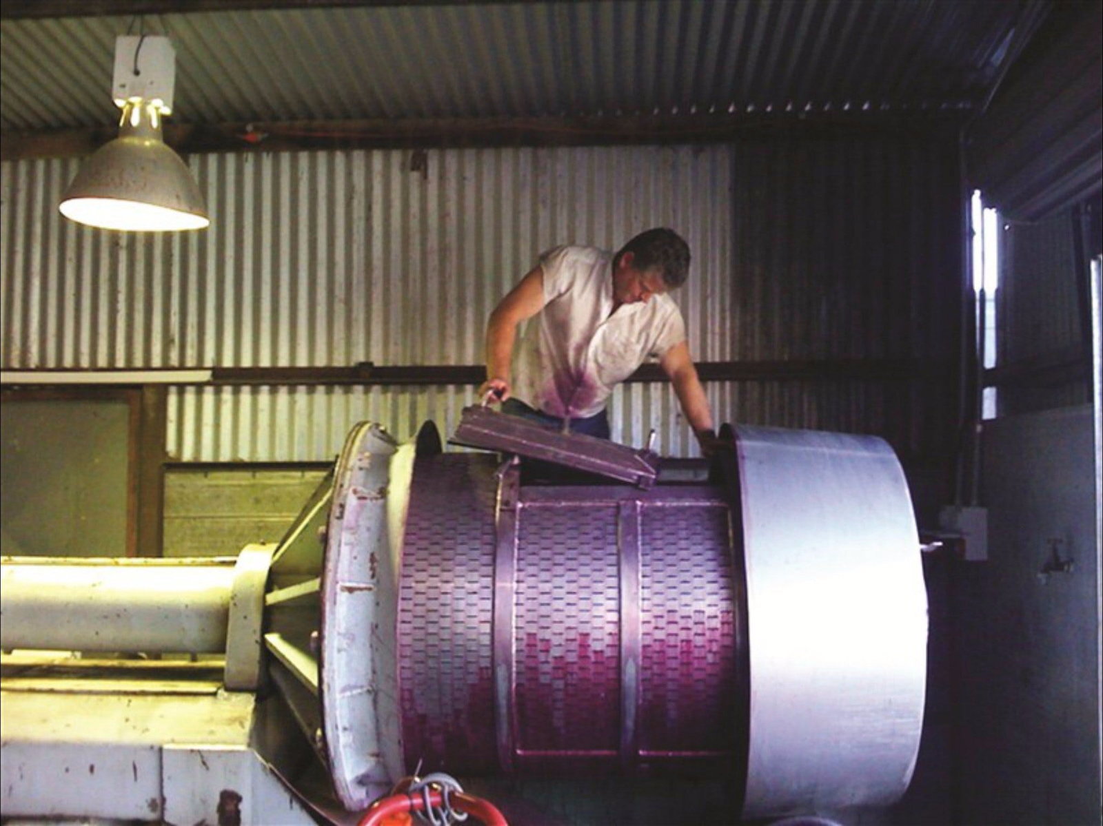 Orange Mountain Wines