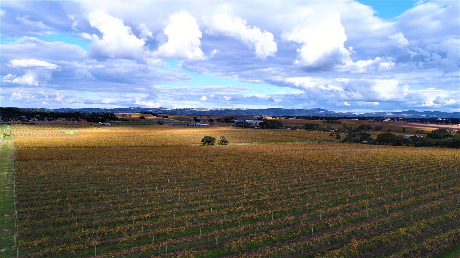 Schubert Estate