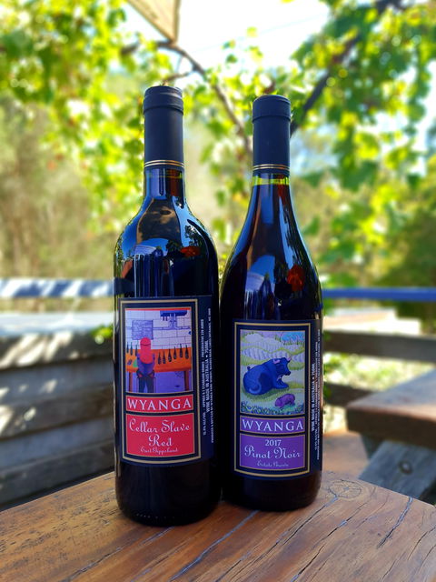 Wyanga Park Winery - Dentist Find 1