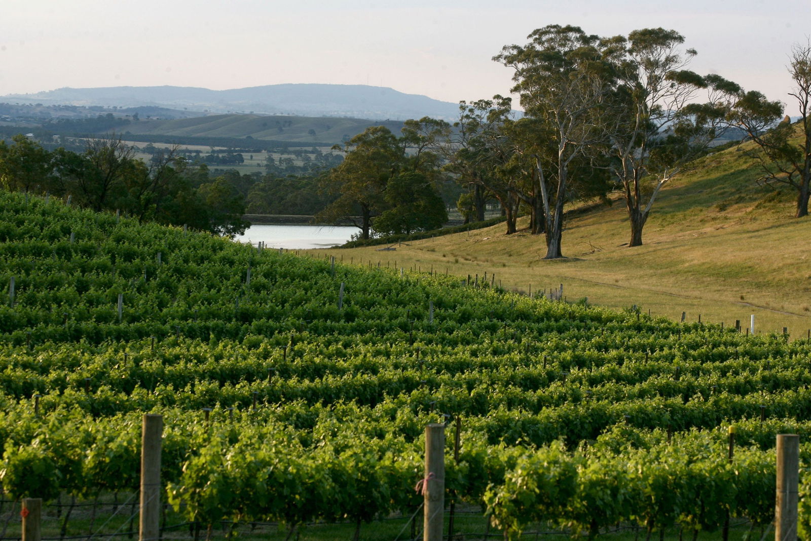 Granite Hills Winery