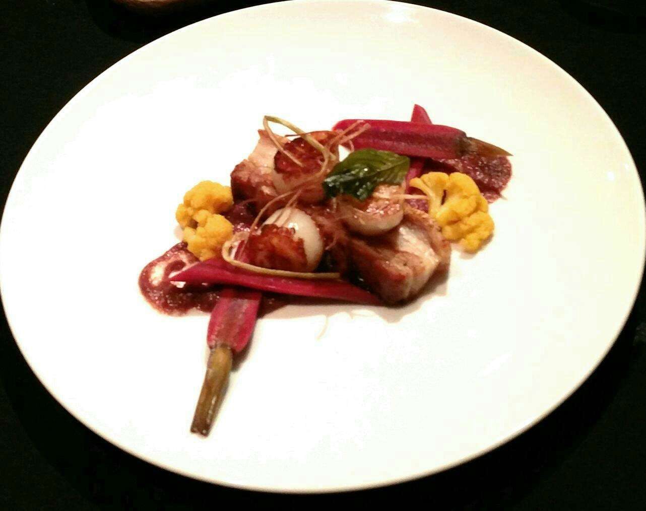 Lower Daintree QLD Dentist Find