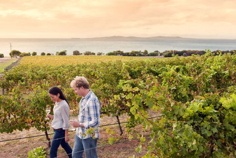 Boston Bay Wines - Dentist Search 0