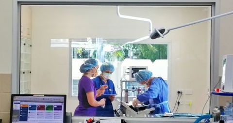 Parap Veterinary Hospital - Dentist Search 3