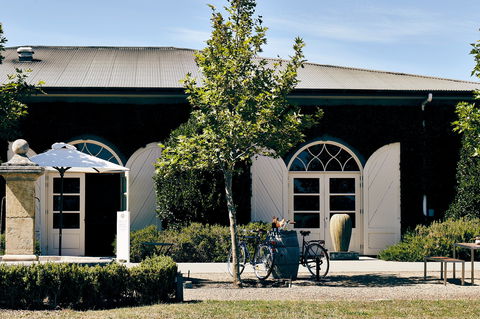 Dominique Portet Winery - Dentist Search 2