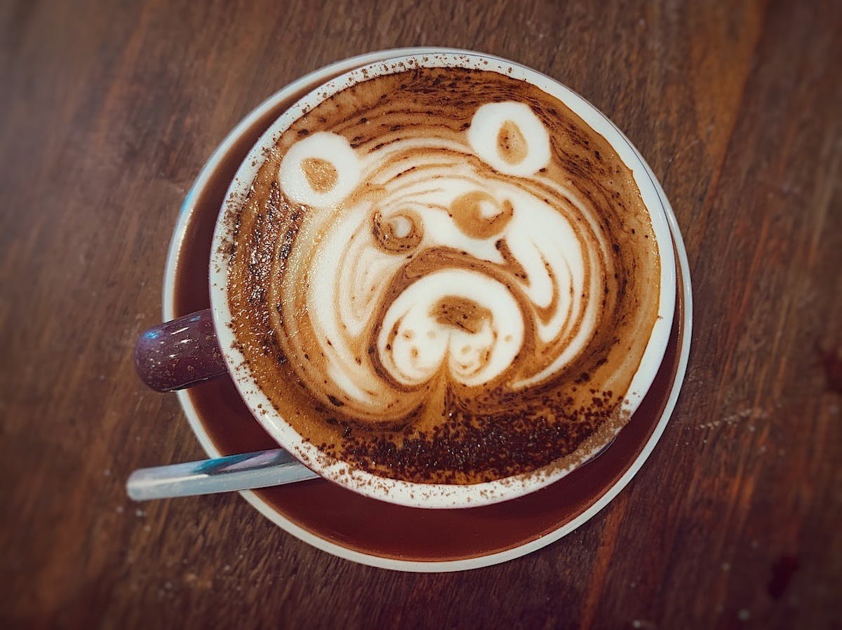 The Mountain Brew Coffee