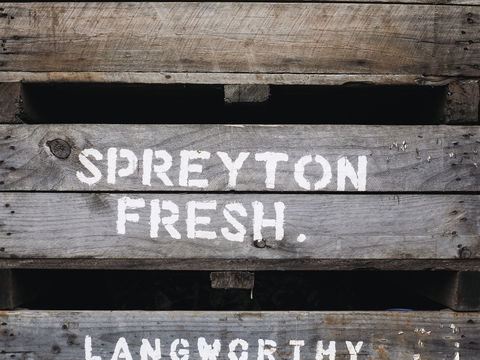 Spreyton Cider Co. - Dentists Australia 0