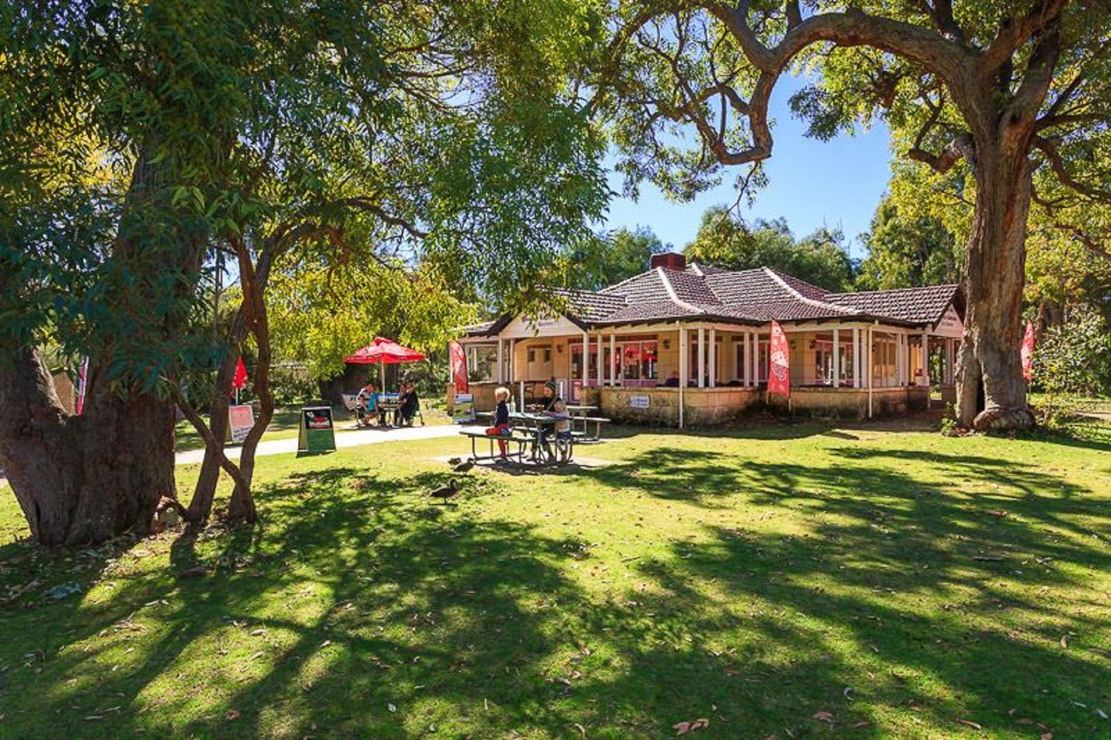 Yanchep WA Dentist Find