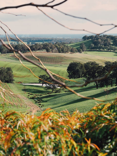 Green Door Winery Cellar Door - Dentist Find 0