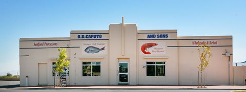 S.D. Caputo And Sons - Dentist Find 1
