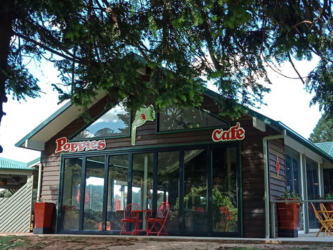 Poppies  Cafe - Dentist Find 0