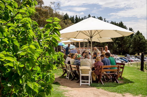 Anderson Hill Cellar Door - Dentist Find 2