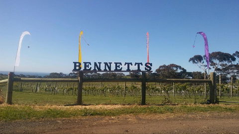 Bennetts On Bellarine Winery - Dentist Find 1