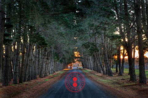 Eden Road Wines - Dentists Australia 1