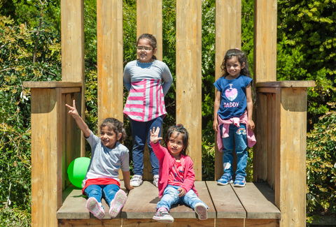 SkyHigh Mount Dandenong And Scenic Lookout - Dentist Search 2