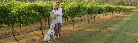 Greenway Wines - Dentist Find 1
