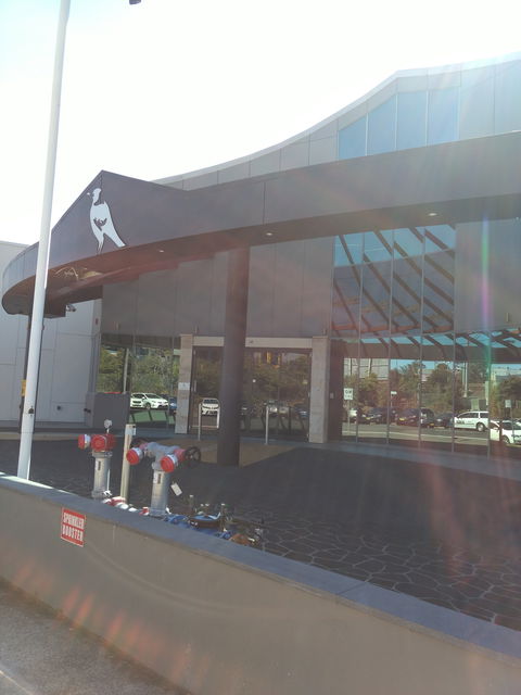 Magpies Waitara - Dentists Australia 0