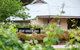 Mount Horrocks Wines - thumb 0