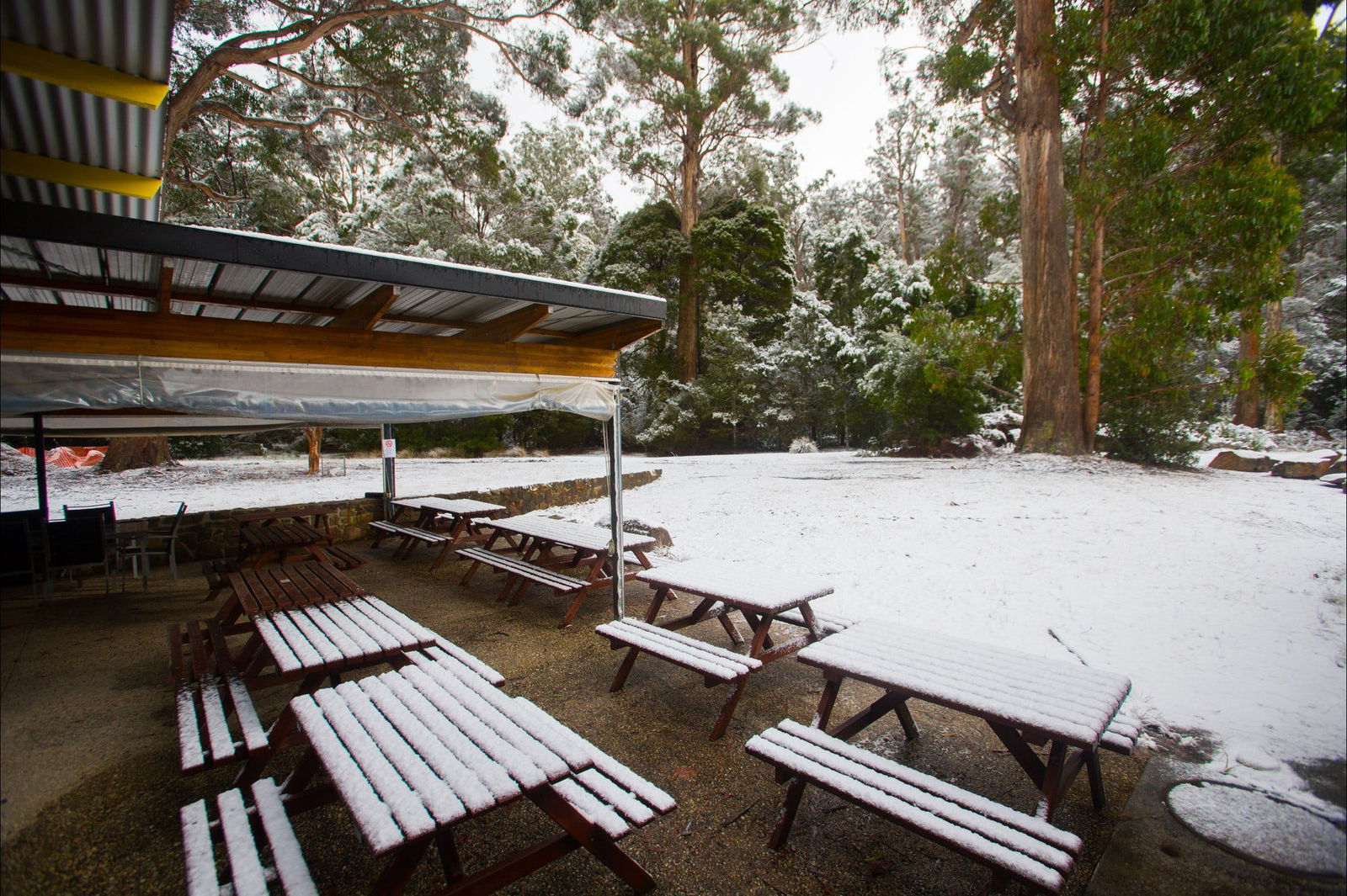 Waterfalls Cafe  Gallery