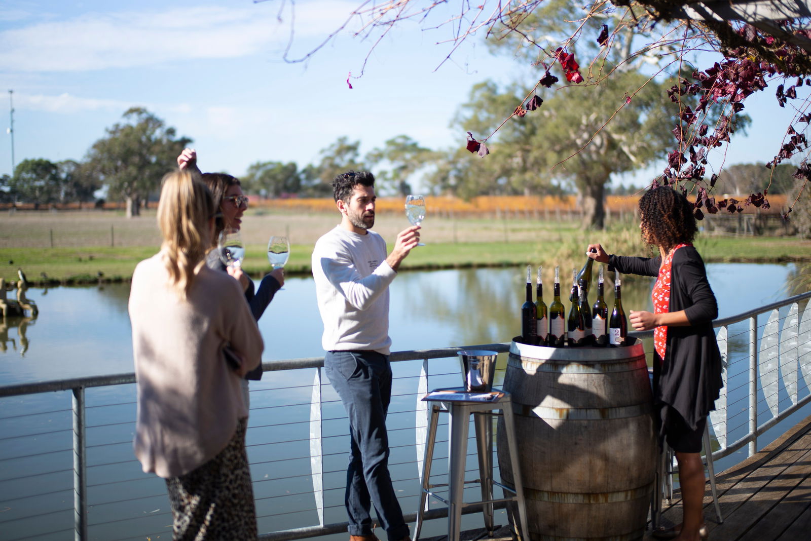 Balnaves of Coonawarra
