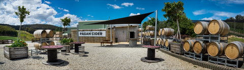 Pagan Cider - Dentist Find 0