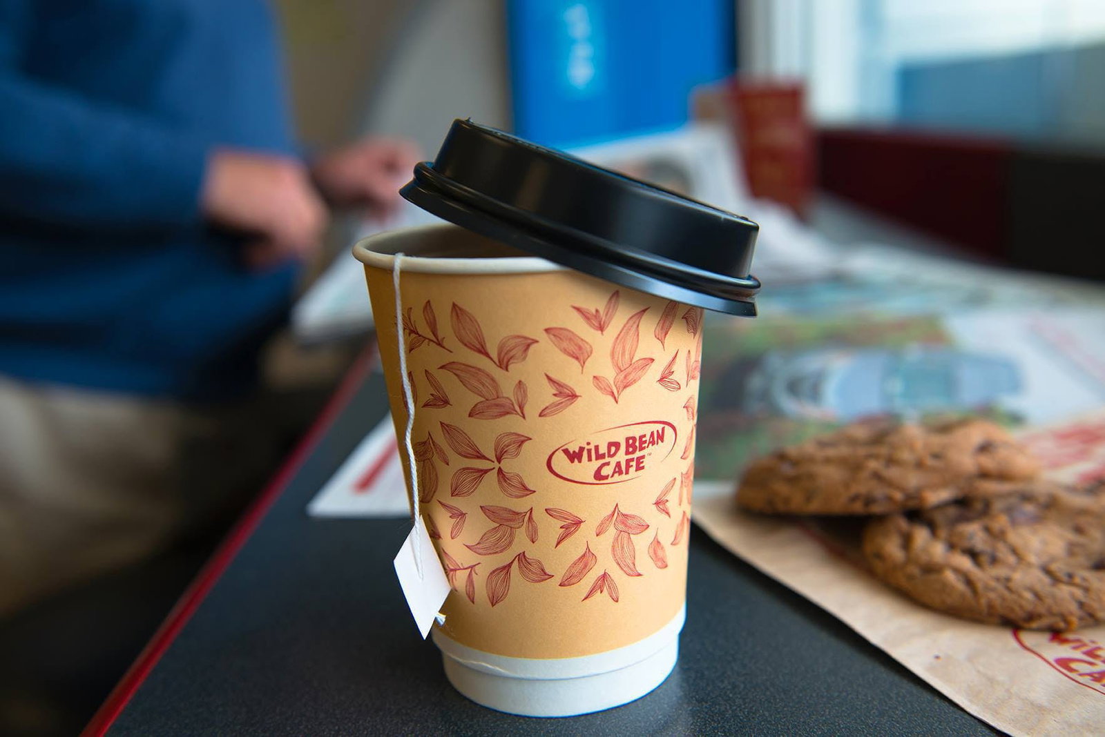 Wild Bean Cafe - Camperdown