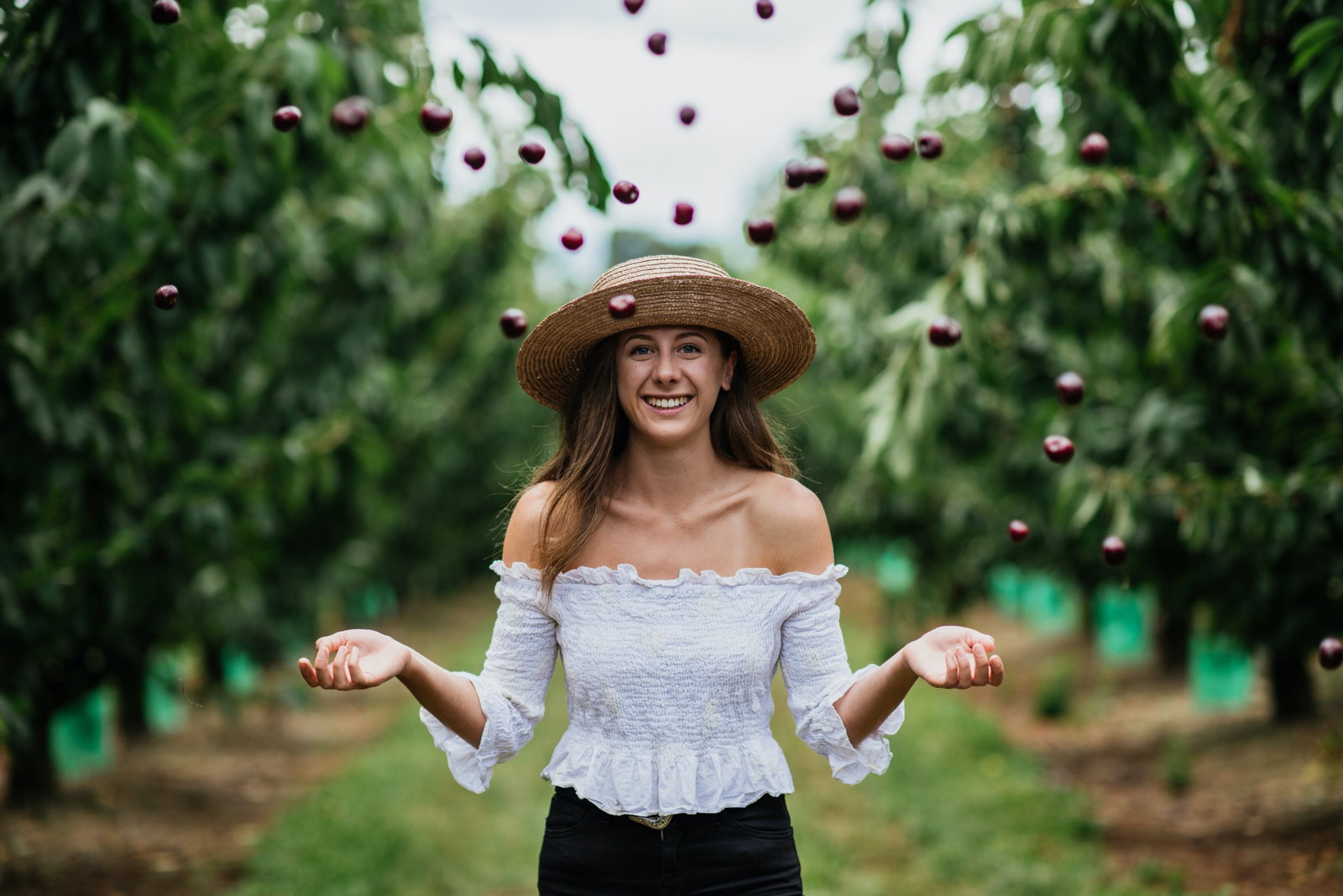 Cherryhill Orchards