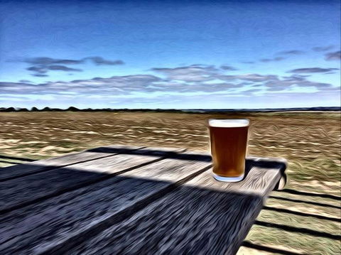 Kangaroo Island Brewery - Dentist Find 1