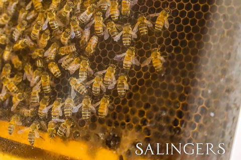 Salingers Cafe - Dentist Find 2