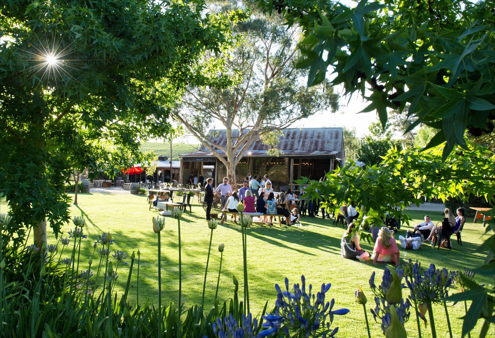 Barristers Block Premium Wines