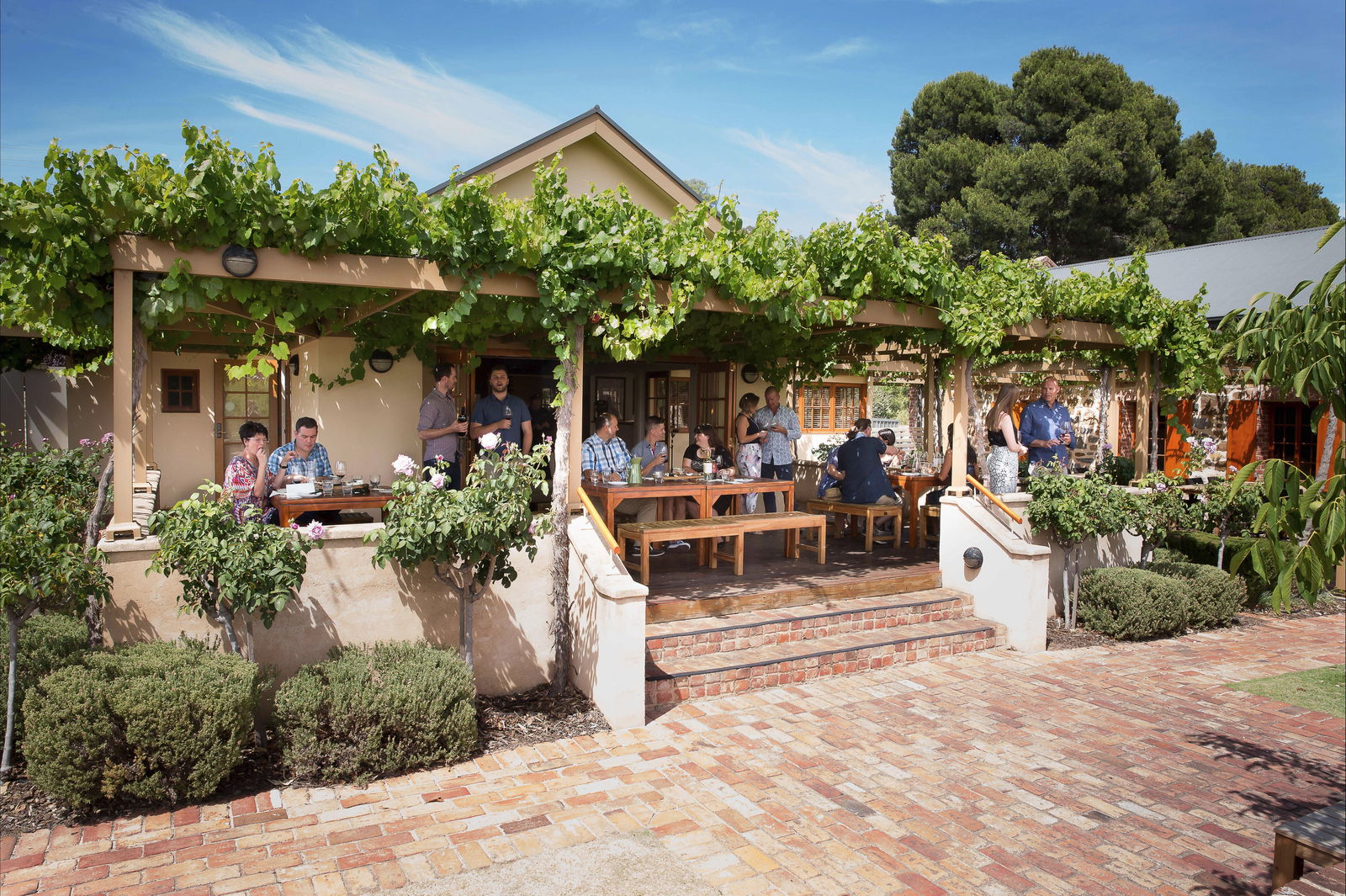 Murray Street Vineyards