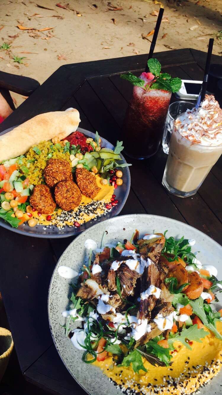 Rainforest Cafe Restaurant