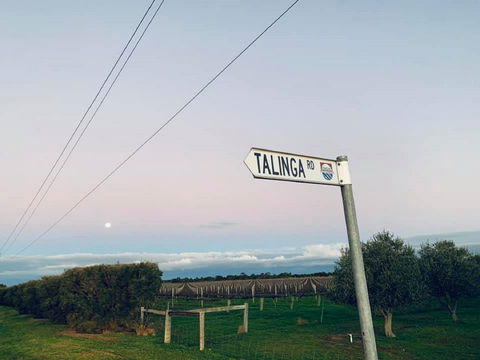 Talinga Grove - Dentist Find 2