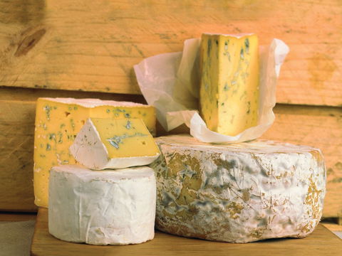 Cheese Shop At Makers' Workshop Burnie - The - Dentist Search 1