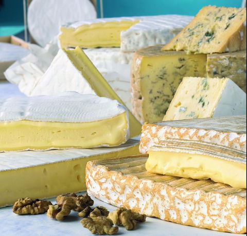 Cheese Shop At Makers' Workshop Burnie - The - Dentist Search 2