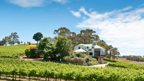 Hahndorf Hill Winery - Dentist Find 1