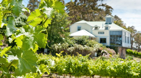 Hahndorf Hill Winery - Dentist Find 2