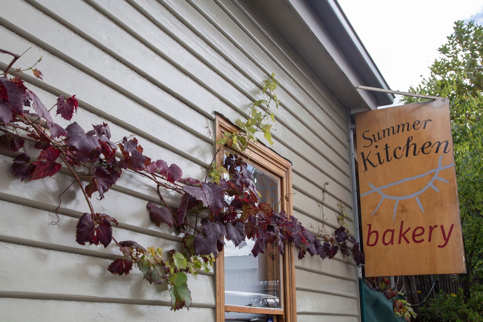 Ranelagh TAS Dentist Find