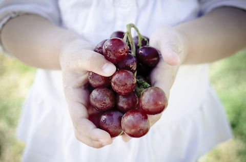 Granitevale Winery - Dentist Find 0