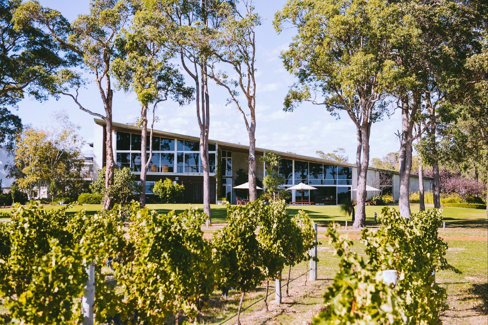 MadFish Wines Margaret River